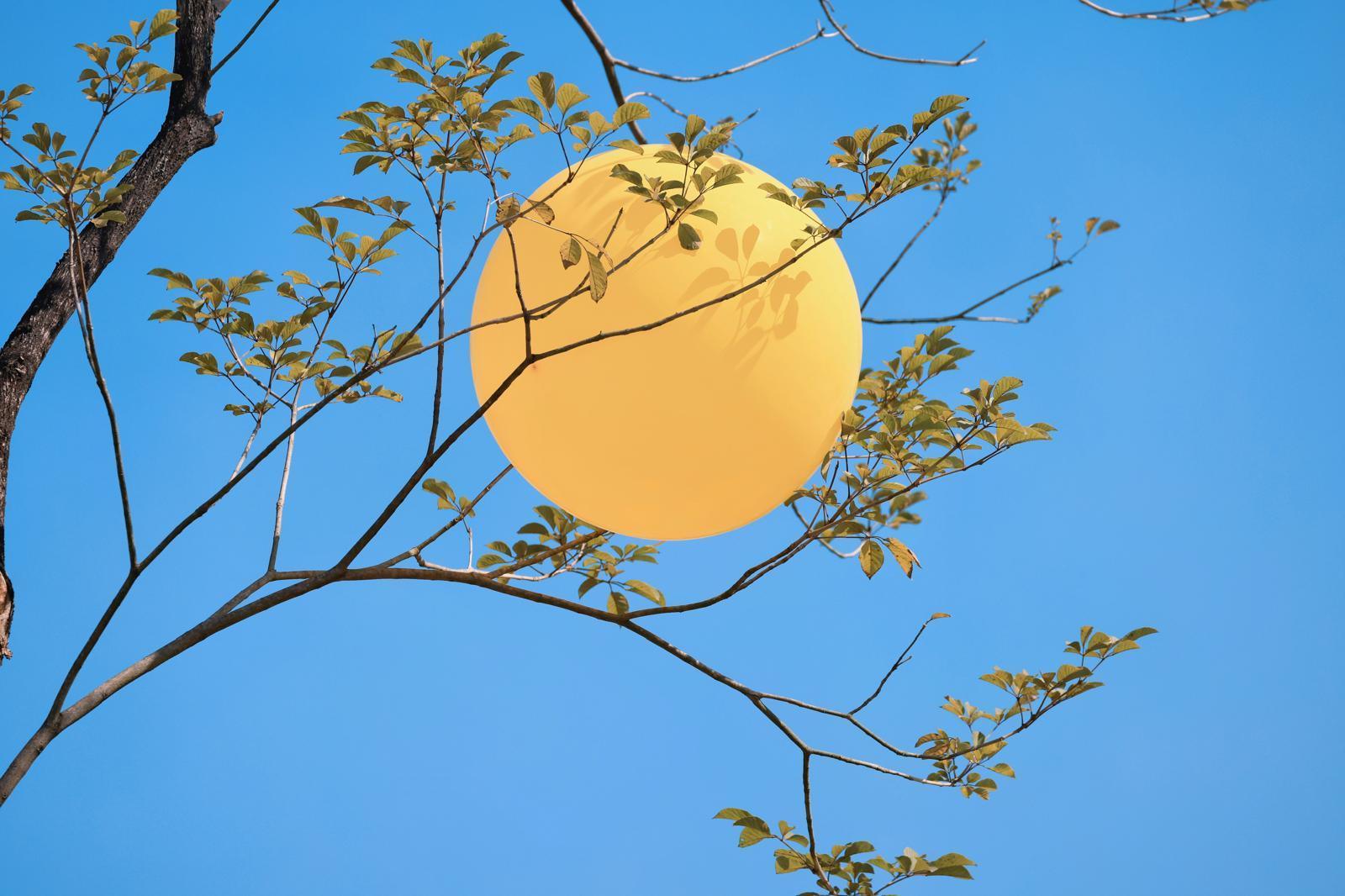 Eerste hulp bij liefdesverdriet